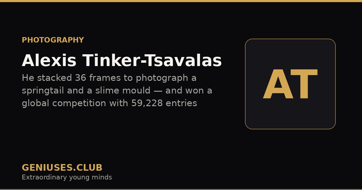 Alexis Tinker-Tsavalas
