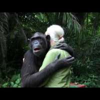Jane Goodall Releases Chimp