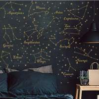 Constellation Wall Decal