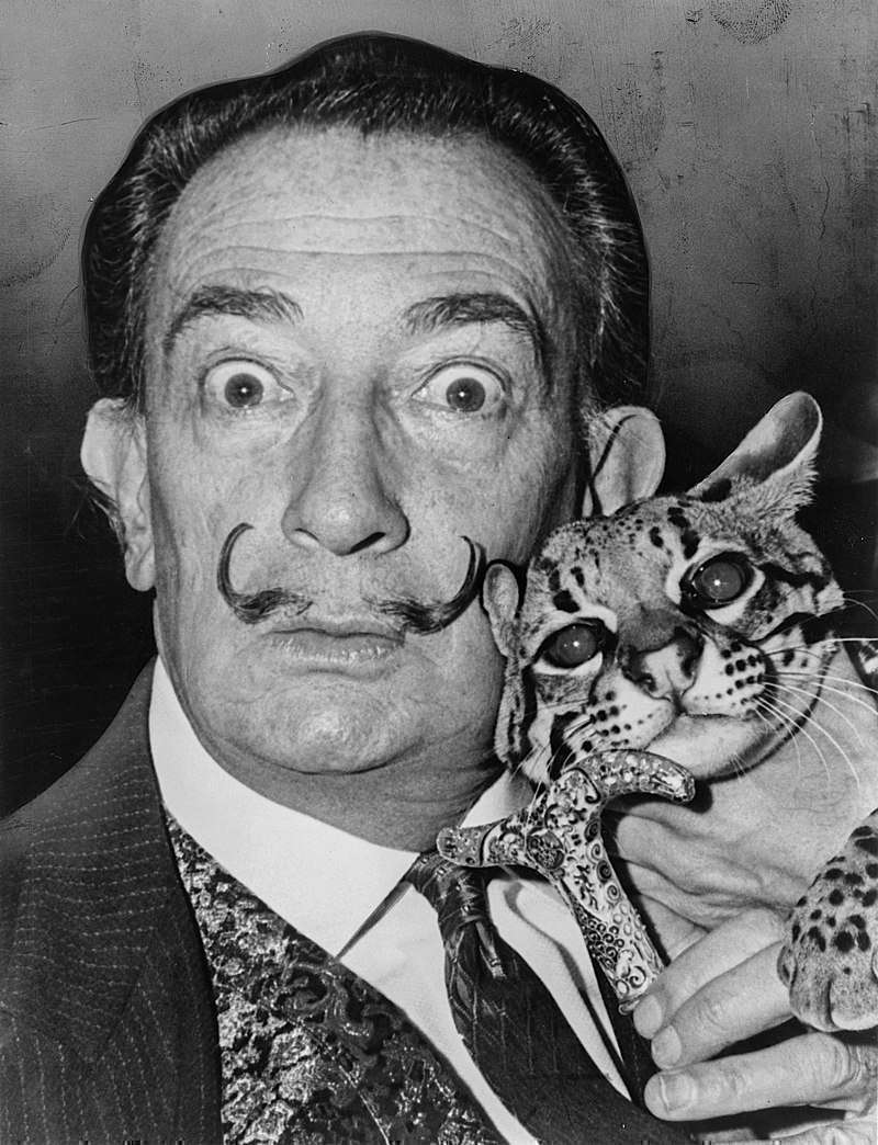 Dalí in the 1960s sporting his characteristic flamboyant moustache holding his pet ocelot, Babou
