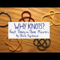Why Knots? Knot Theory in Three Minutes