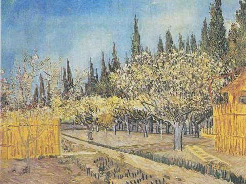  Orchard in Blossom, Bordered by Cypresses, April 1888