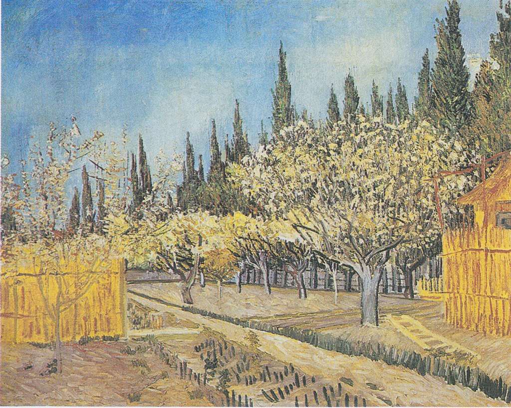  Orchard in Blossom, Bordered by Cypresses, April 1888