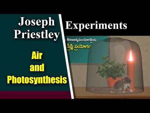 Joseph Priestley Experiment