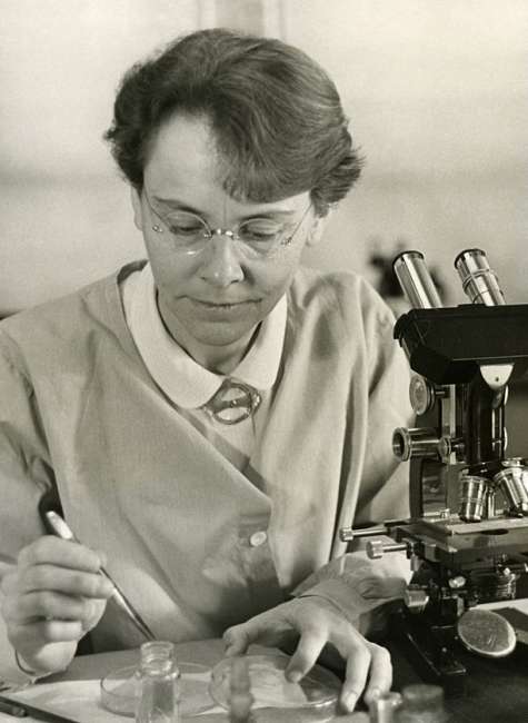 Barbara McClintock and the discovery of jumping genes