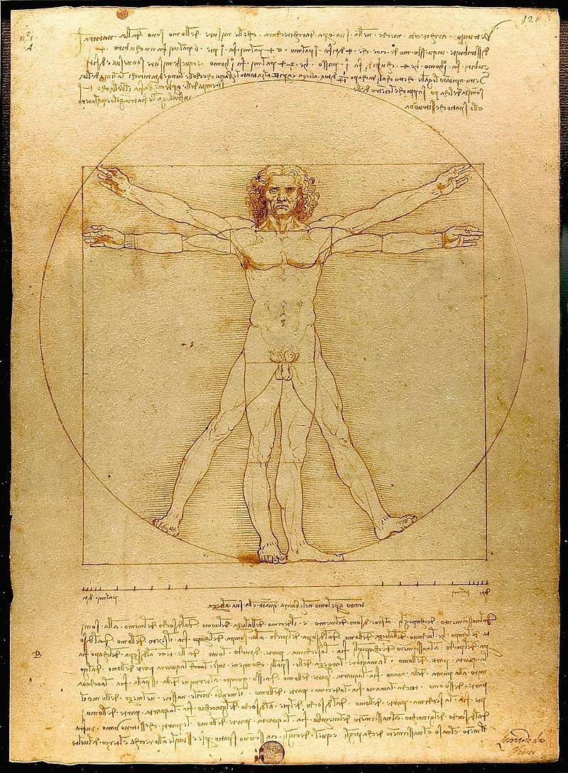 Vitruvian Man by Leonardo da Vinci, an illustration of the human body inscribed in the circle and the square derived from a passage about geometry and human proportions in Vitruvius' writings