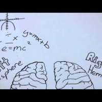Roger Sperry's Split Brain Experiment