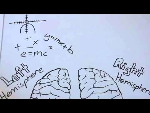 Roger Sperry's Split Brain Experiment