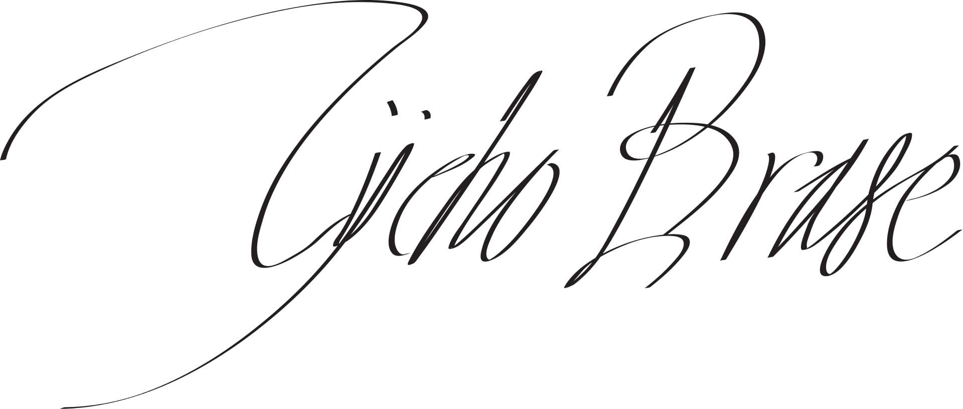 Tycho Brahe Signature