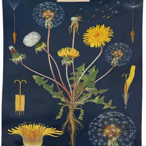 Dandelion Plant Tapestry