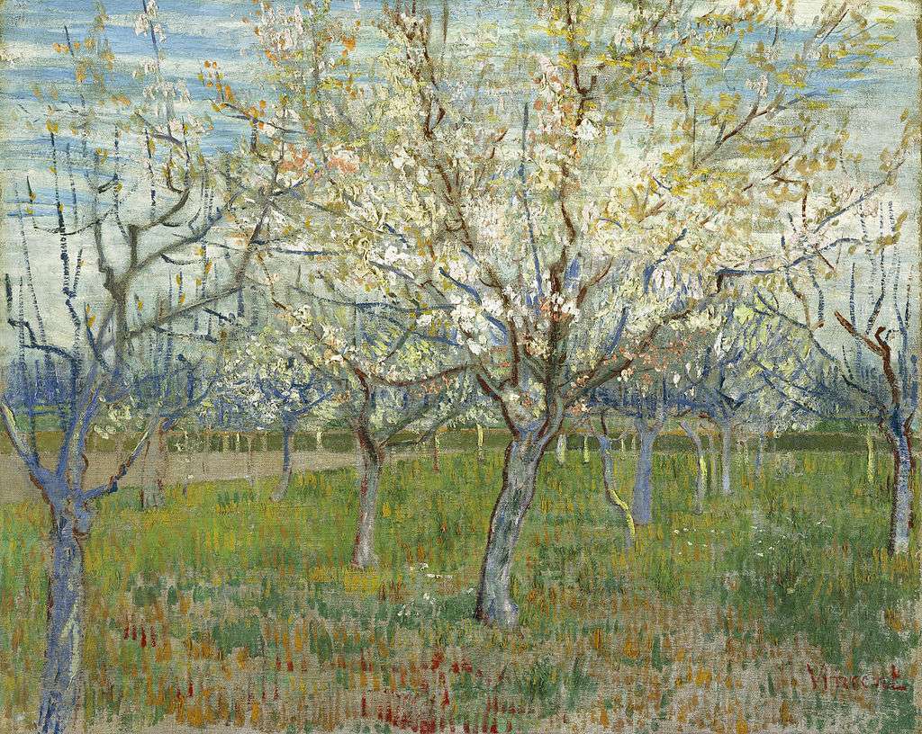 The Pink Orchard also Orchard with Blossoming Apricot Trees, March 1888
