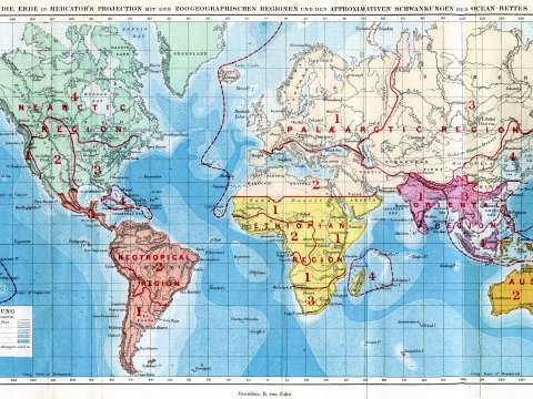 A map of the world from The Geographical Distribution of Animals shows Wallace's six biogeographical regions.