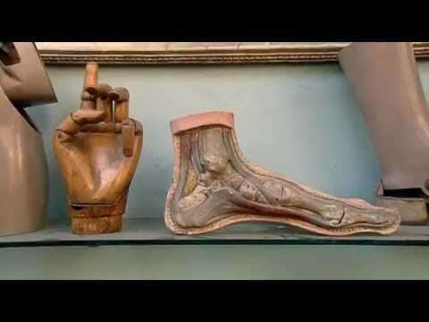 Ancient Discoveries Season 1 Episode 2 Galen, Doctor to the Gladiators YouTube