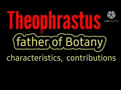 Theophrastus father of botany