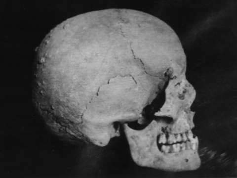 Skull of Avicenna, found in 1950 during construction of the new mausoleum