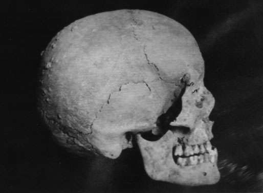Skull of Avicenna, found in 1950 during construction of the new mausoleum