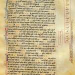 Fibonacci numbers: A population dynamics perspective