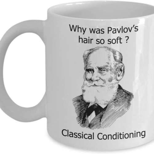 Why Was Pavlov's Hair So Soft? Mug