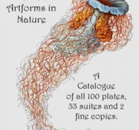 Ernst Haeckel's Artforms in Nature