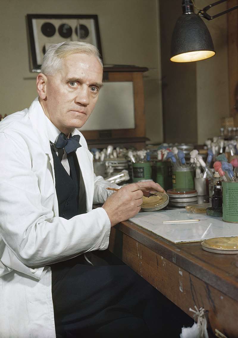 Sir Alexander Fleming in his laboratory at St Mary's, Paddington, London (1943).