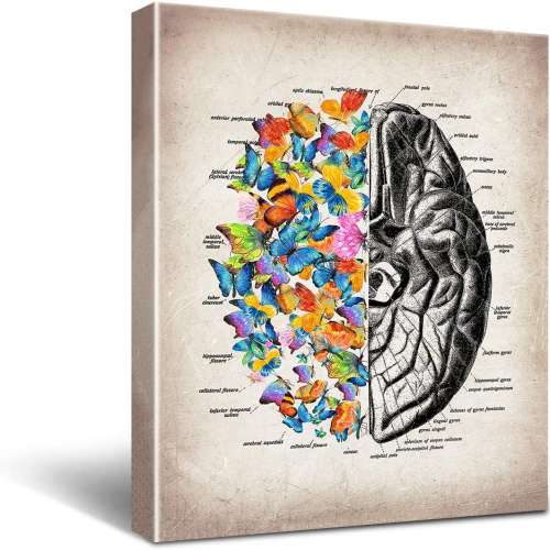 Anatomy Brain Canvas Print