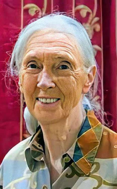Jane Goodall