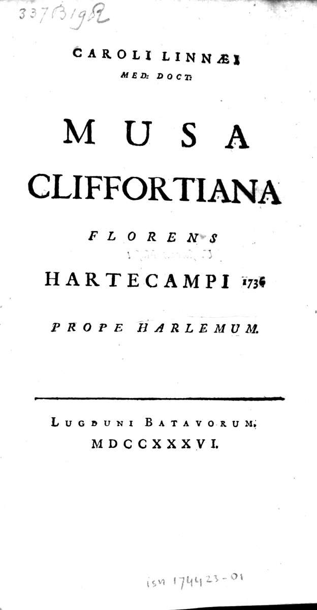 Title page of Musa Cliffortiana (1736), Linnaeus's first botanical monograph.