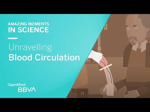 Unravelling Blood Circulation | OpenMind