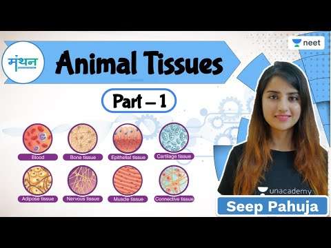 NEET: Animal Tissues