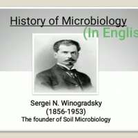 Winogradsky contribution to microbiology