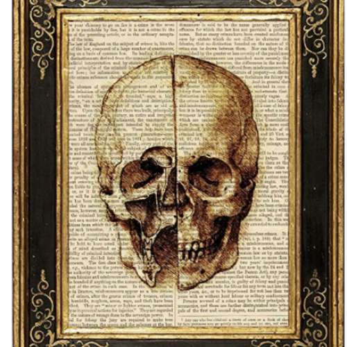 Study of Skull by Da Vinci Medical Illustration