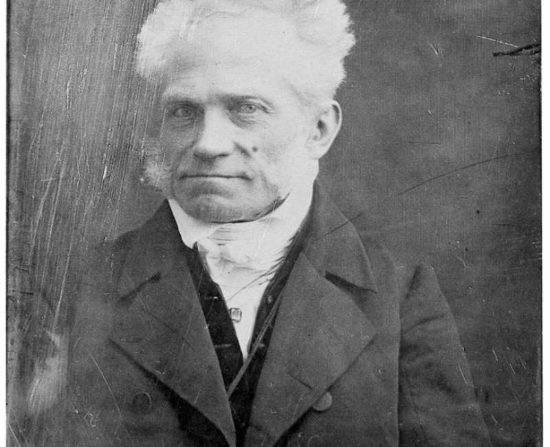 genius arthur schopenhauer