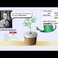 Photosynthesis and Van Helmont Experiment