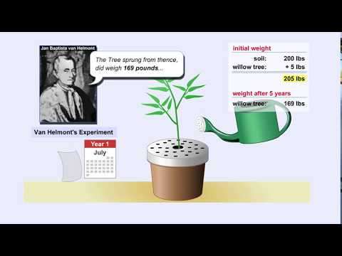 Photosynthesis and Van Helmont Experiment