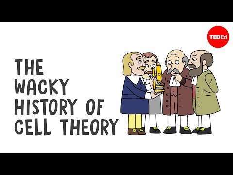 The wacky history of cell theory - Lauren Royal-Woods