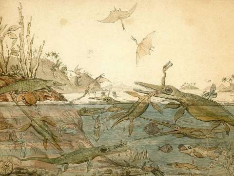 The geologist Henry De la Beche painted the influential watercolour Duria Antiquior in 1830, based largely on fossils found by Anning.