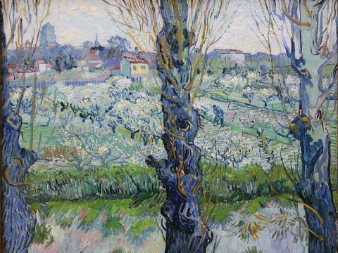 View of Arles, Flowering Orchards, 1889