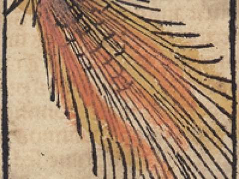 Comet of 1472