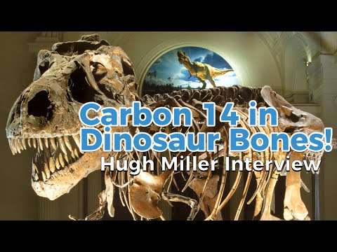 Is there Carbon 14 in Dinosaur Bones? Hugh Miller Interview