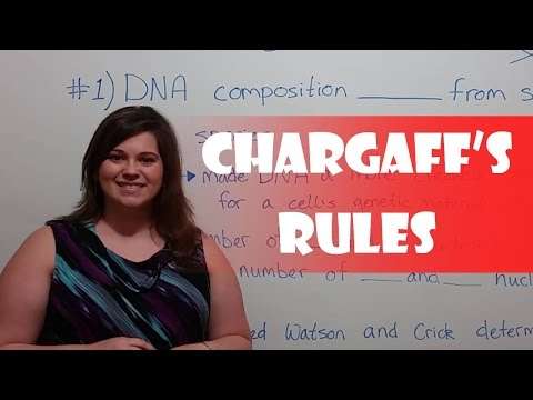 Chargaff's Rules
