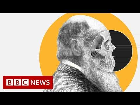 Theory of Evolution: How did Darwin come up with it?