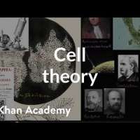 Cell theory | Structure of a cell | Biology | Khan Academy