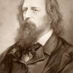 Tennyson’s rise and fall