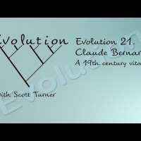 Evolution 21. Claude Bernard. A 19th century vitalist?