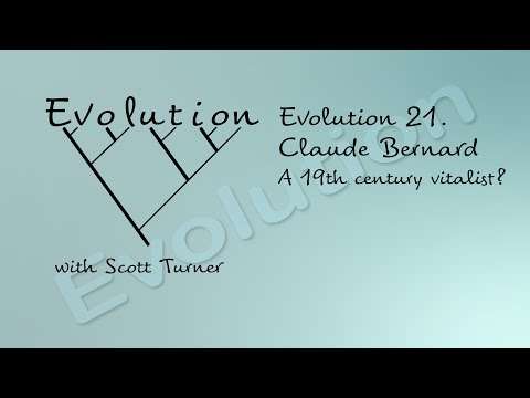 Evolution 21. Claude Bernard. A 19th century vitalist?