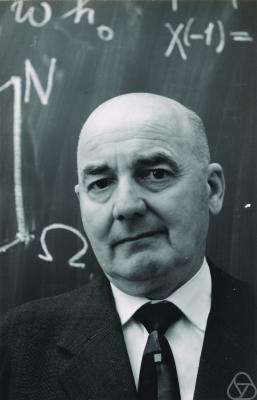Helmut Hasse worked with Noether and others to found the theory of central simple algebras.