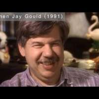 Stephen Jay Gould 1991 Interview