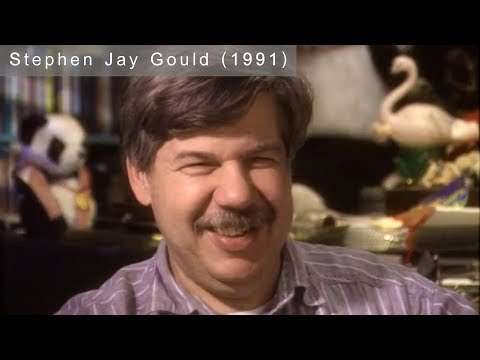 Stephen Jay Gould 1991 Interview