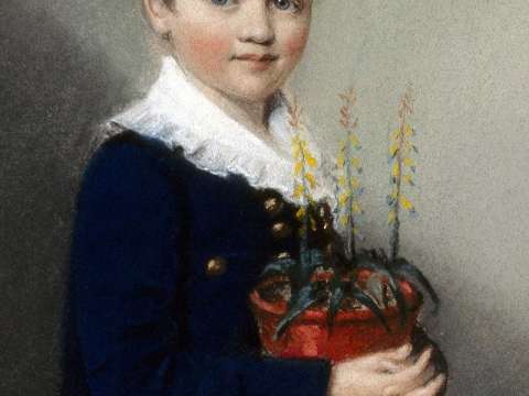 Chalk drawing of the seven-year-old Charles Darwin in 1816, already with a potted plant, by Ellen Sharples.