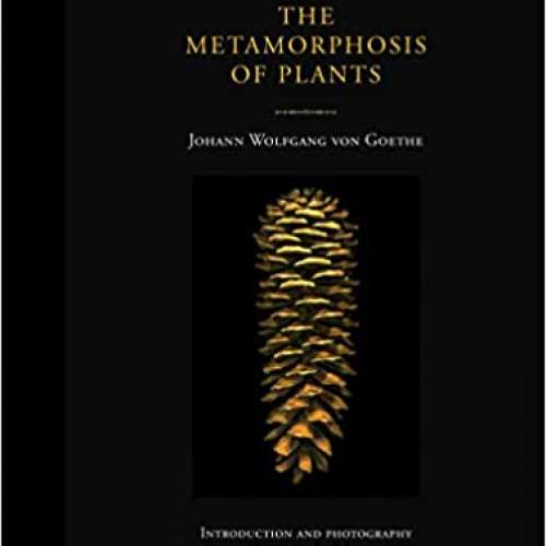 The Metamorphosis of Plants